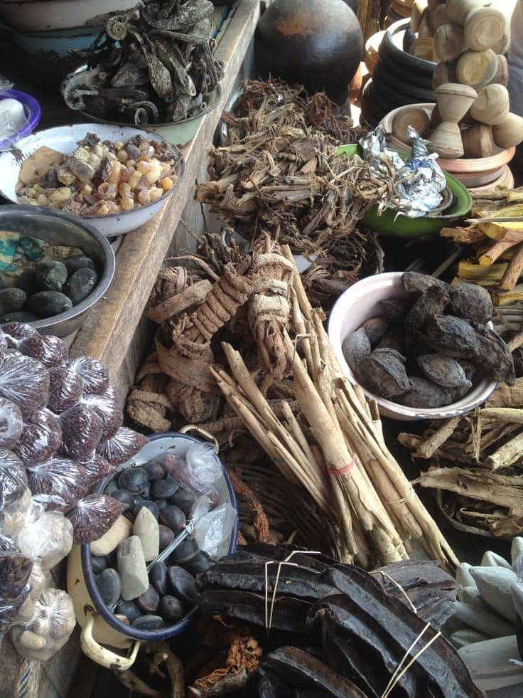 Remèdes Naturels Africains pour le Fibrome Utérin