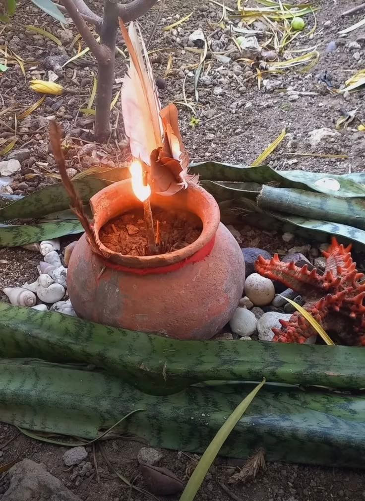 Grand Marabout Béninois en France
